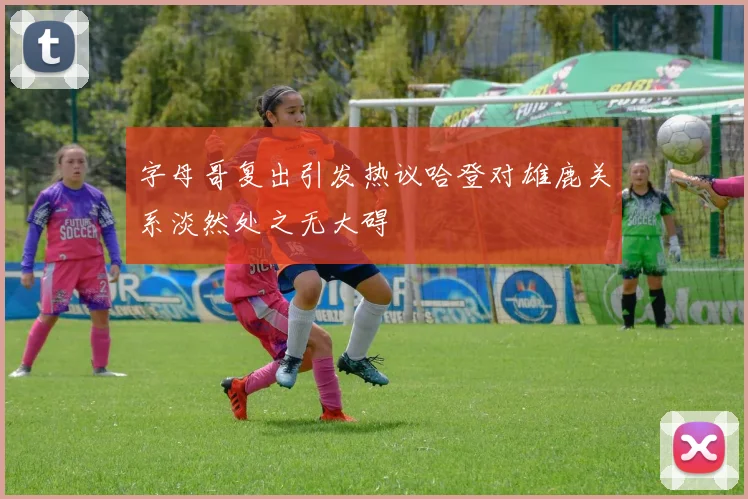 字母哥复出引发热议哈登对雄鹿关系淡然处之无大碍