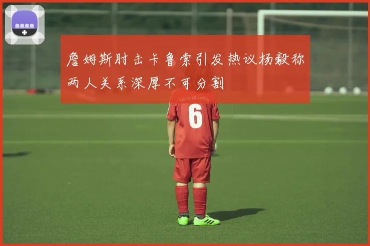 詹姆斯肘击卡鲁索引发热议杨毅称两人关系深厚不可分割